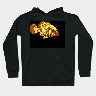 Giant Grouper Fish Hoodie